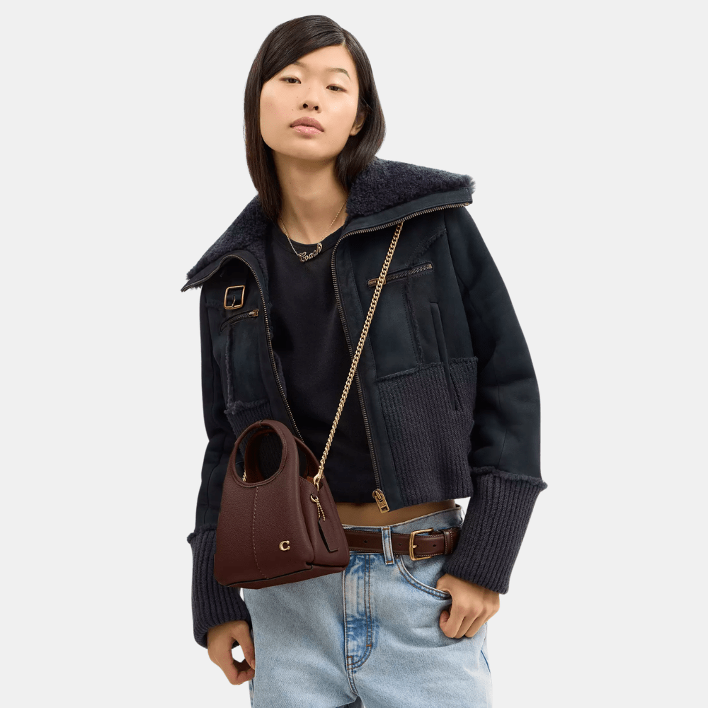 Coach Lana Shoulder Bag 19