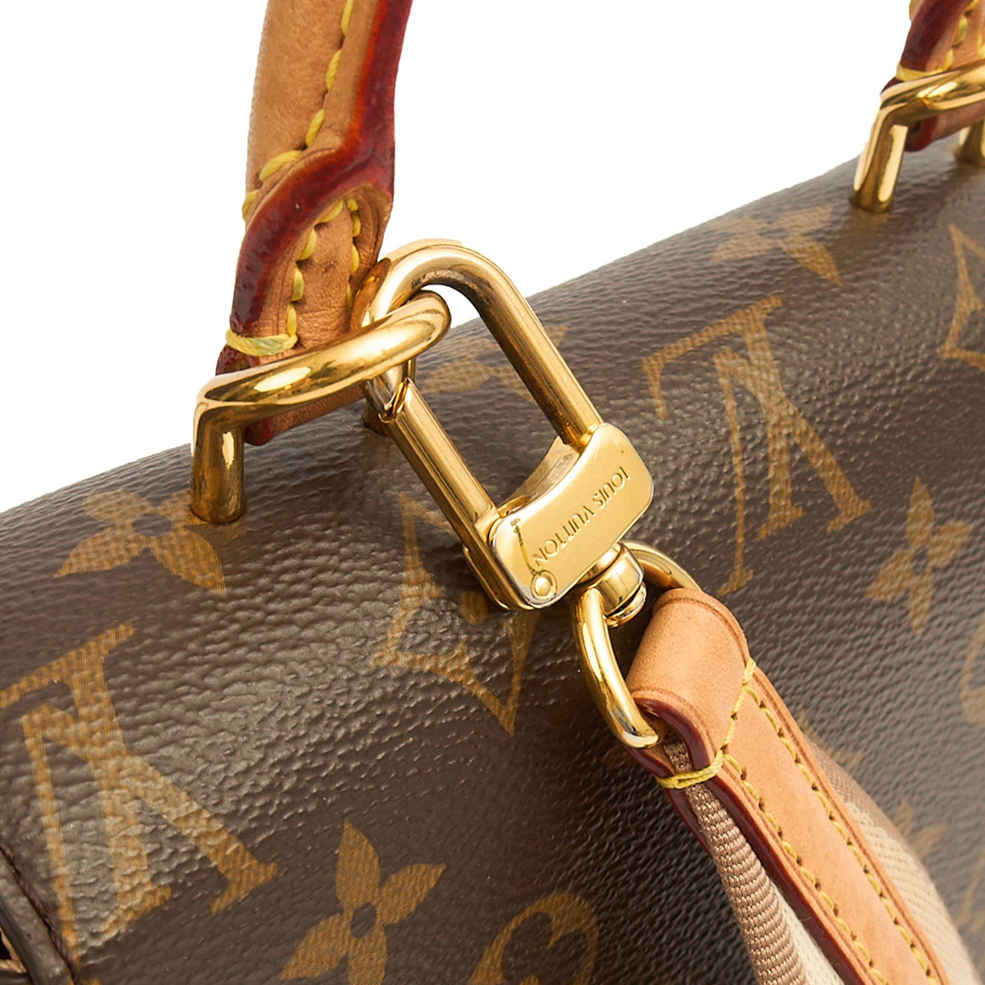 Louis Vuitton Top Handle Cluny MM in Monogram, Canvas