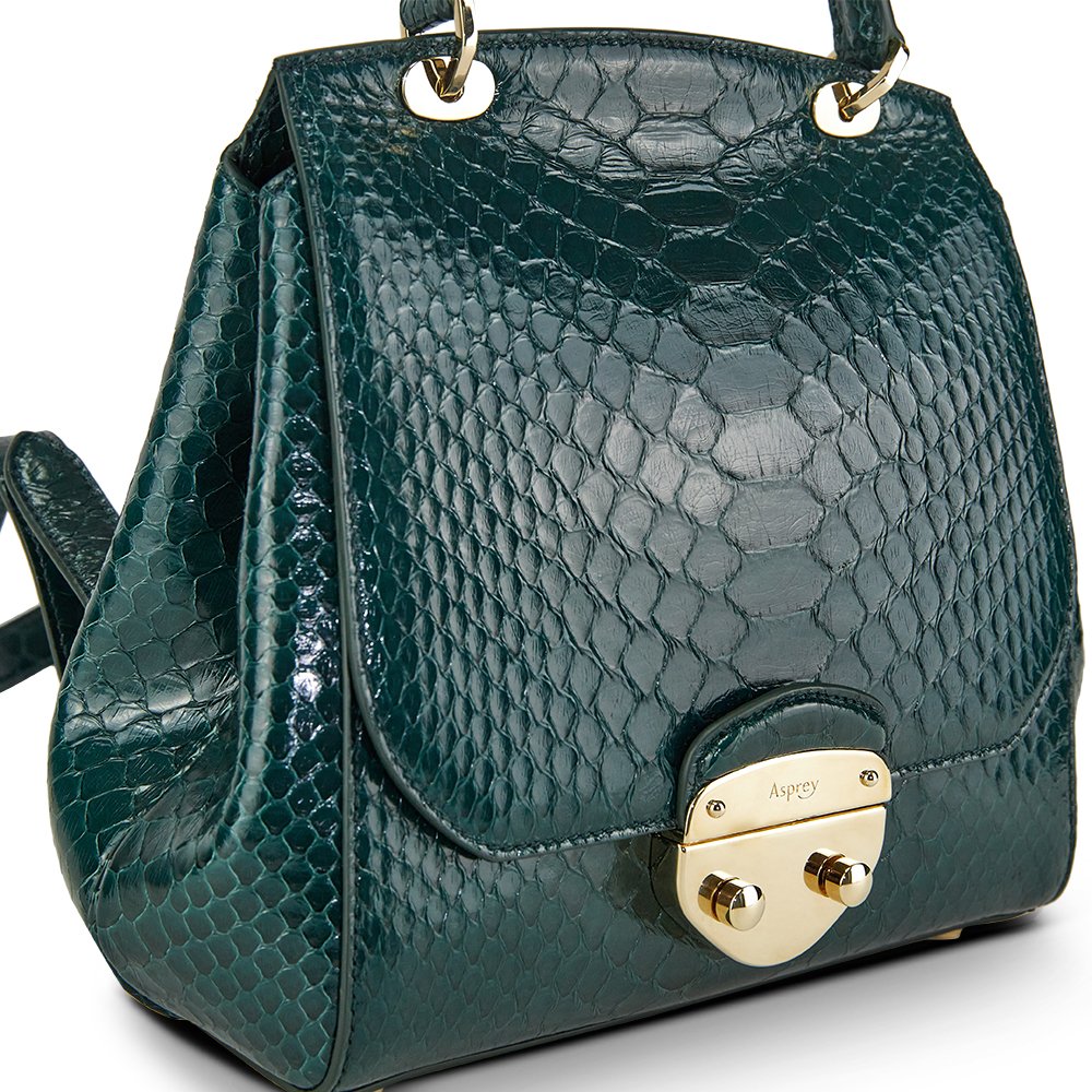 Asprey Backpack Tote in Green, Exotic