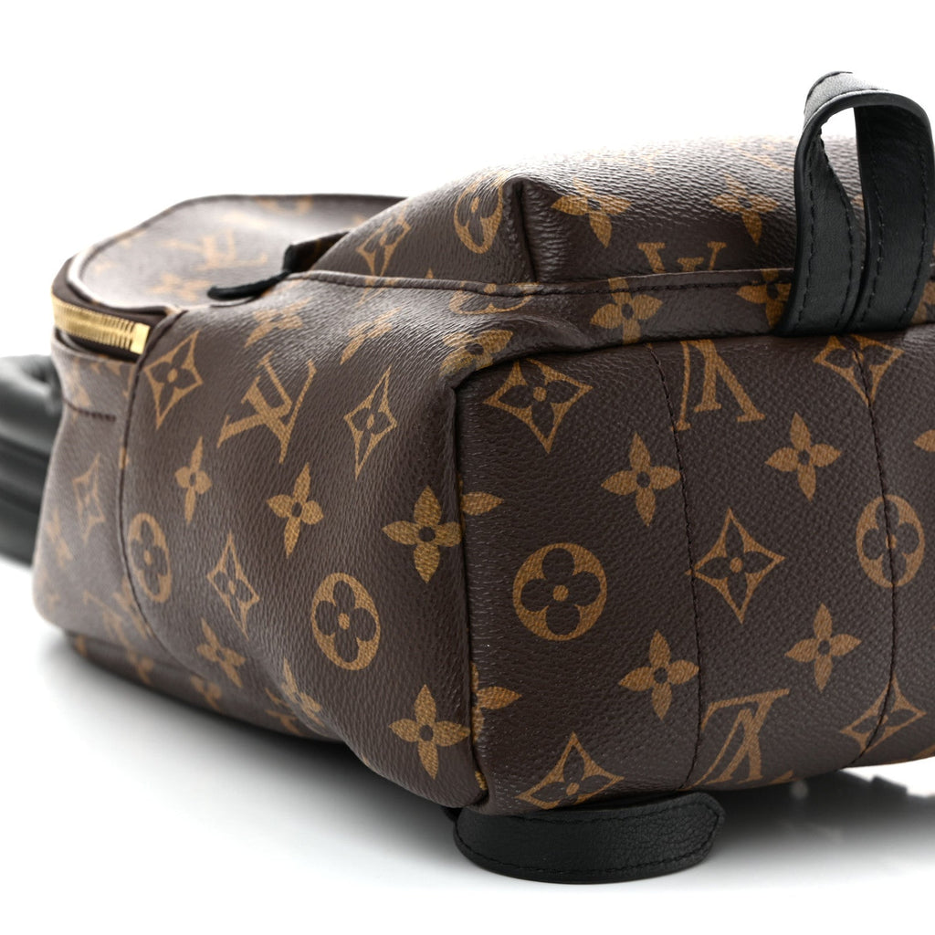 Monogram Palm Springs Backpack PM