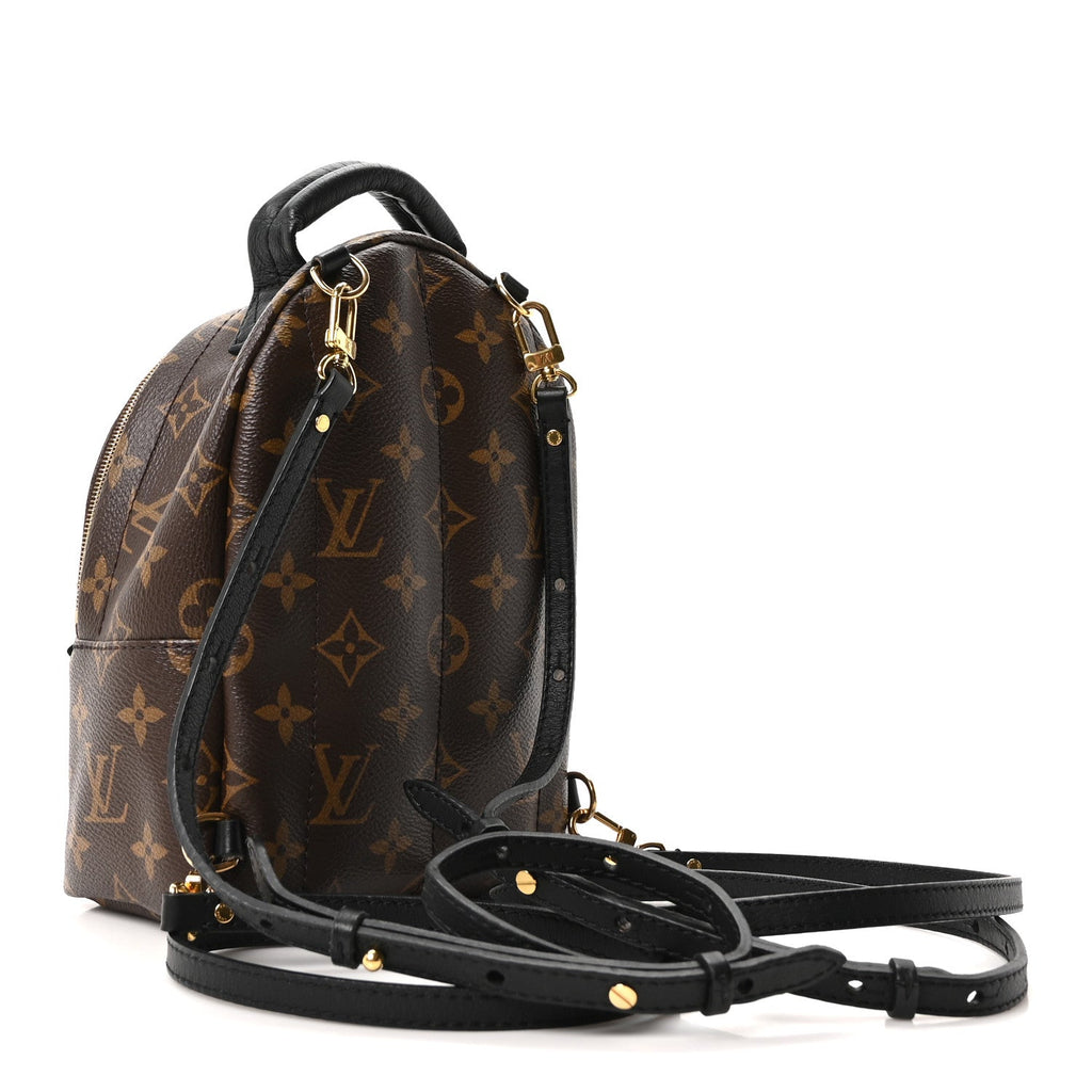 Monogram Palm Springs Backpack Mini