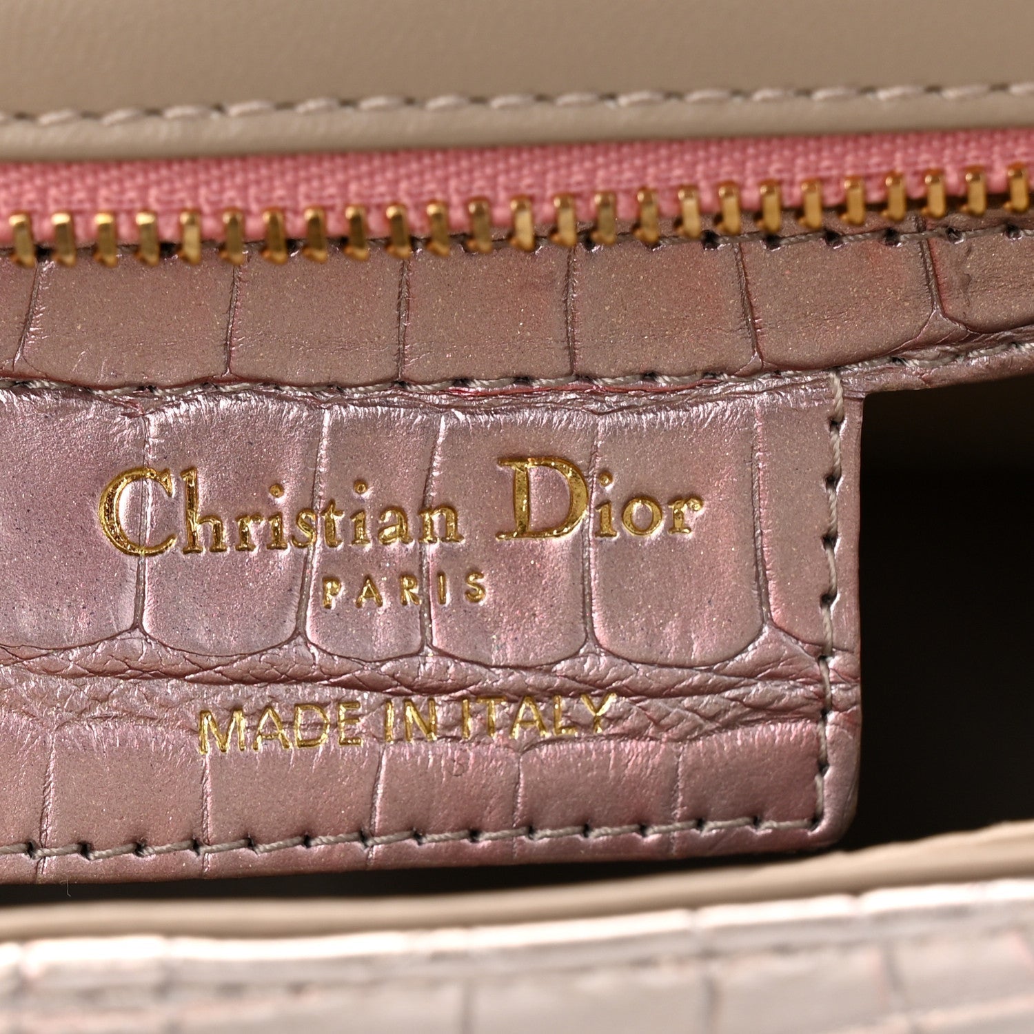 Metallic Alligator Small Caro Bag Multicolor