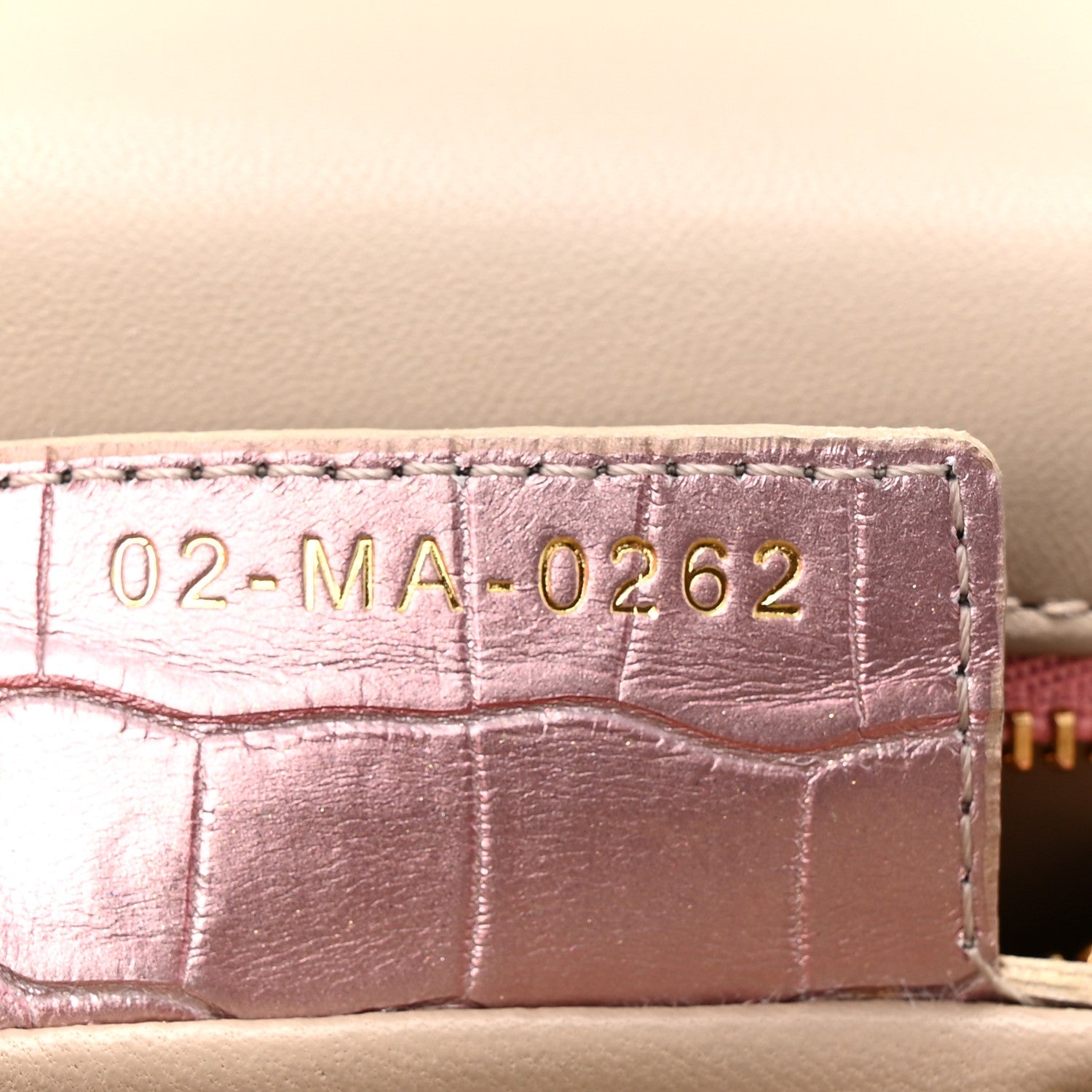 Metallic Alligator Small Caro Bag Multicolor