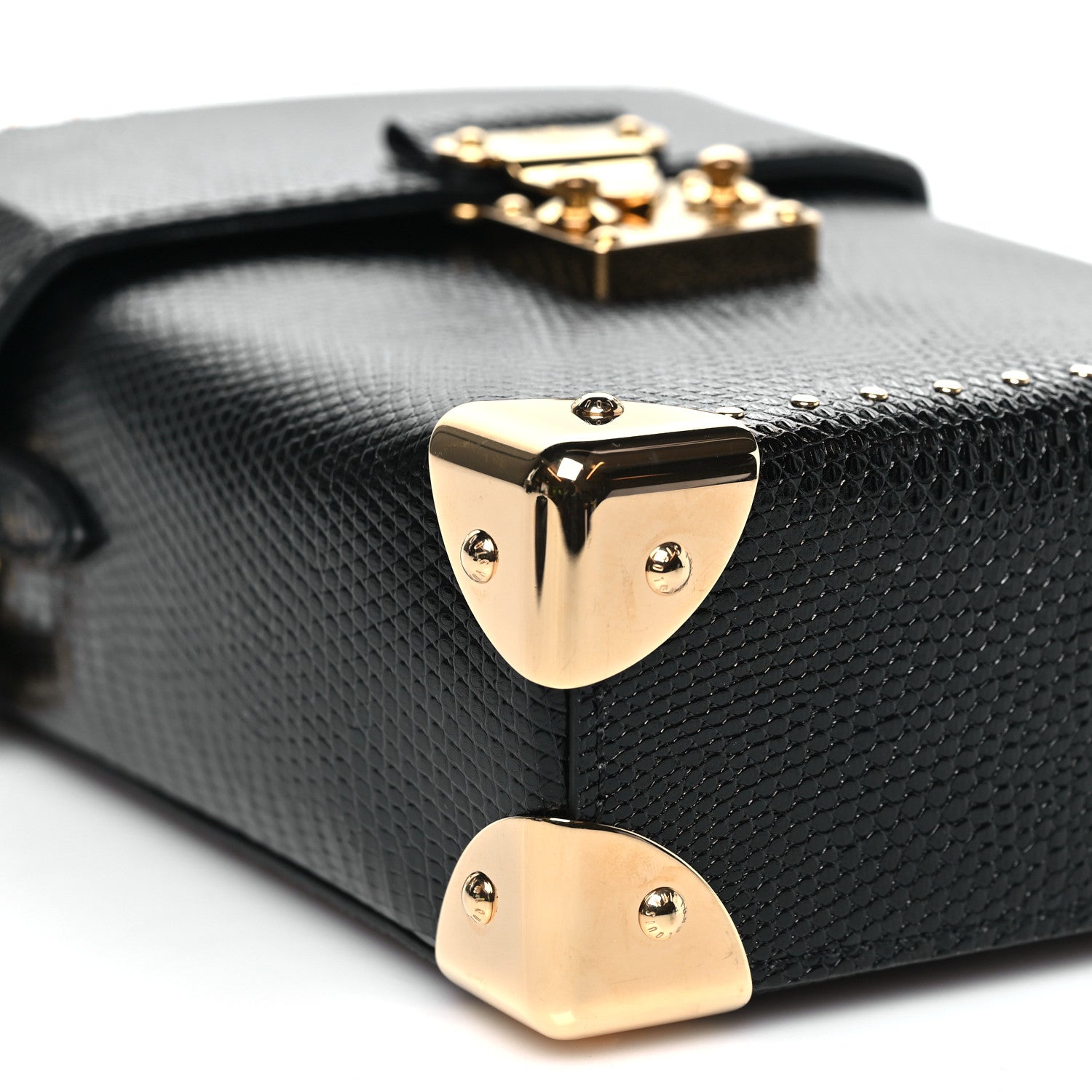 Lizard Camera Box Black