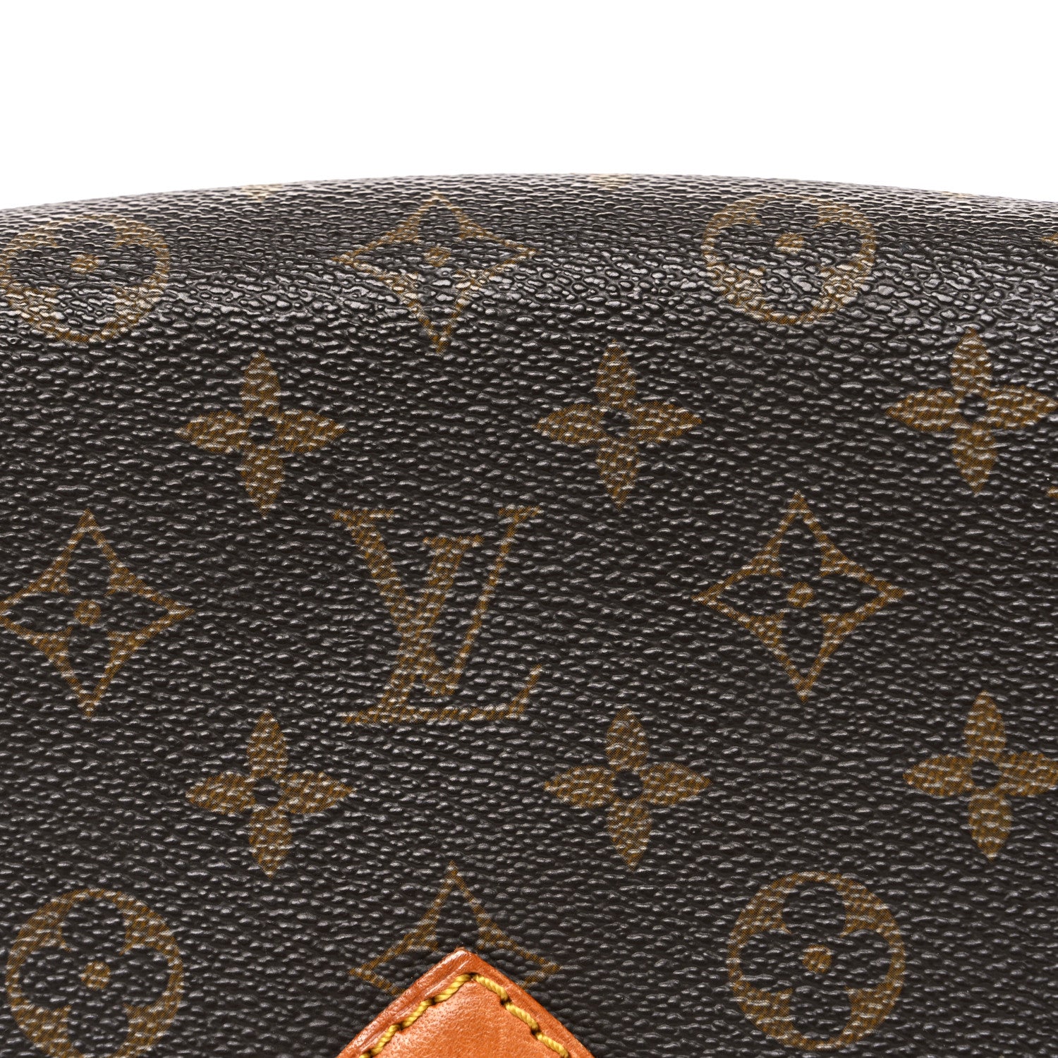 Monogram Cartouchiere 22