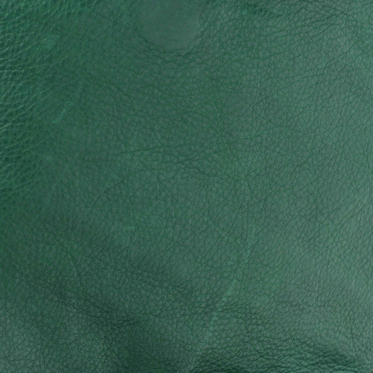 Calfskin Trophe Twist Pocket Shoulder Bag Emerald