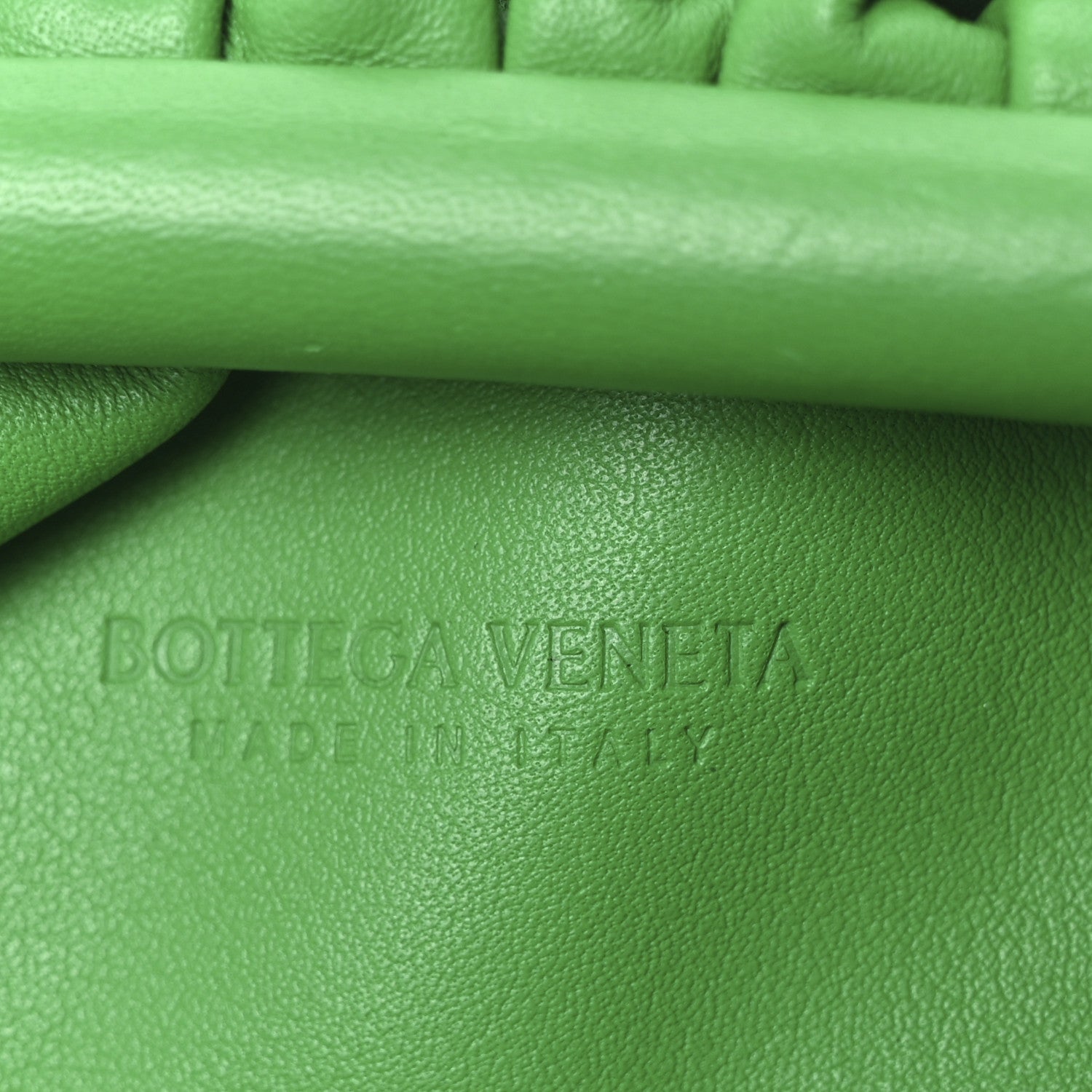 Butter Calfskin The Mini Pouch Parakeet