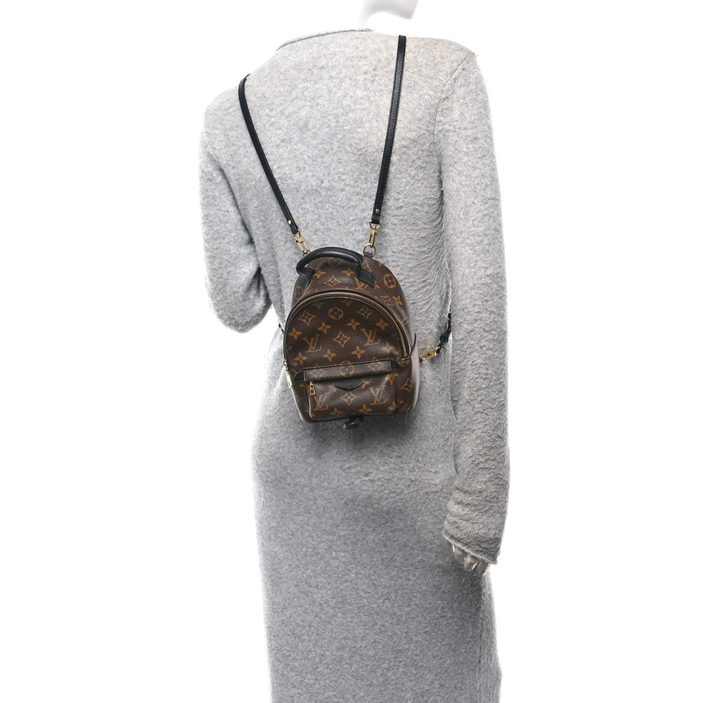 Monogram Palm Springs Backpack Mini