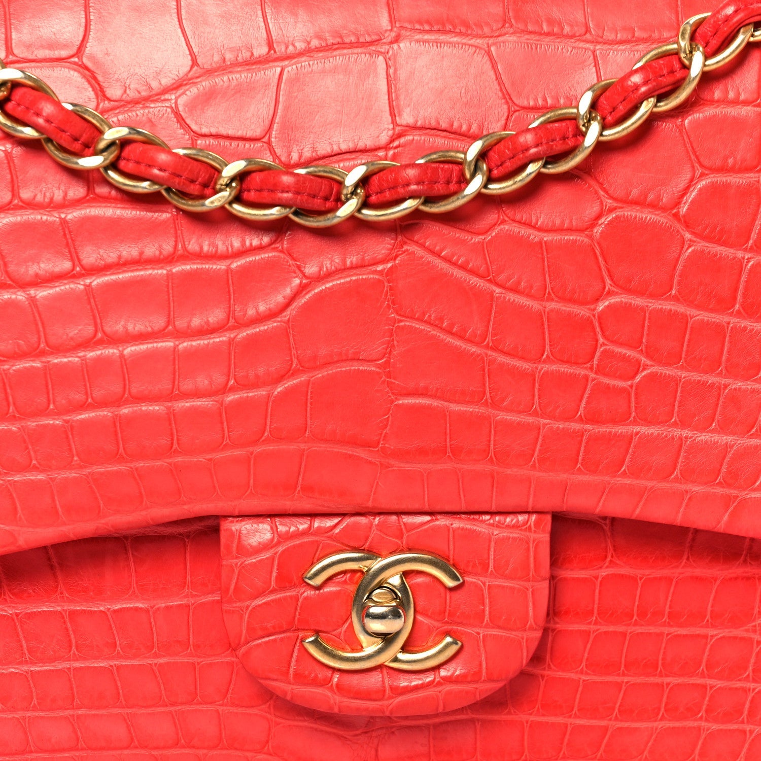 Alligator Jumbo Double Flap Red