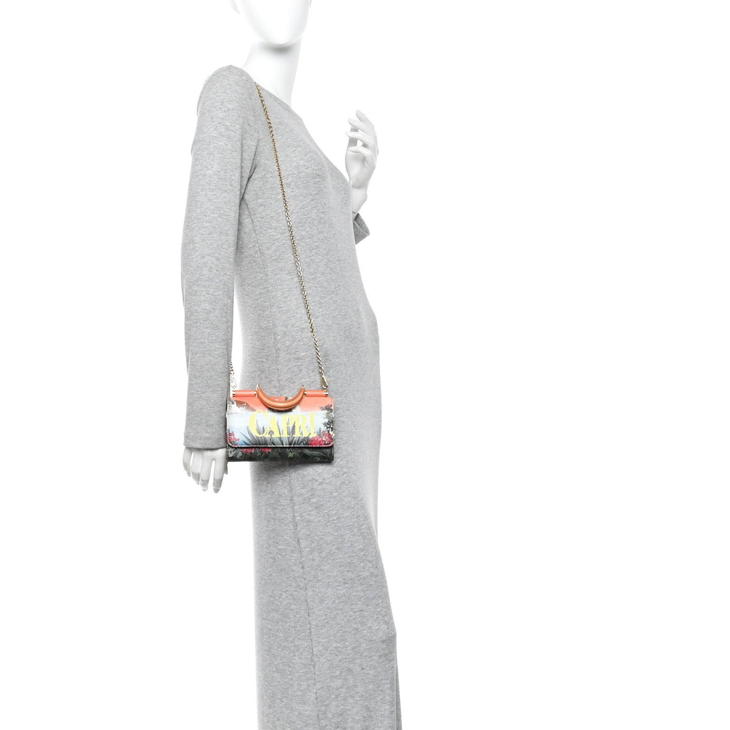 Dauphine Capri Printed Mini Von Bag Multicolor