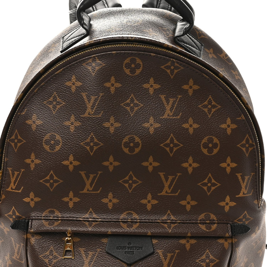 Monogram Palm Springs Backpack MM