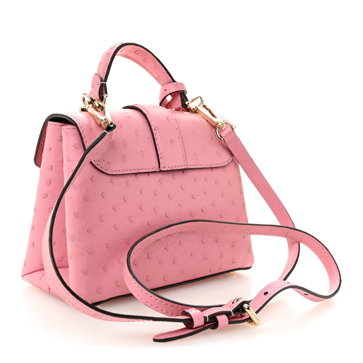 Ostrich Rose Des Vents Mini Pink