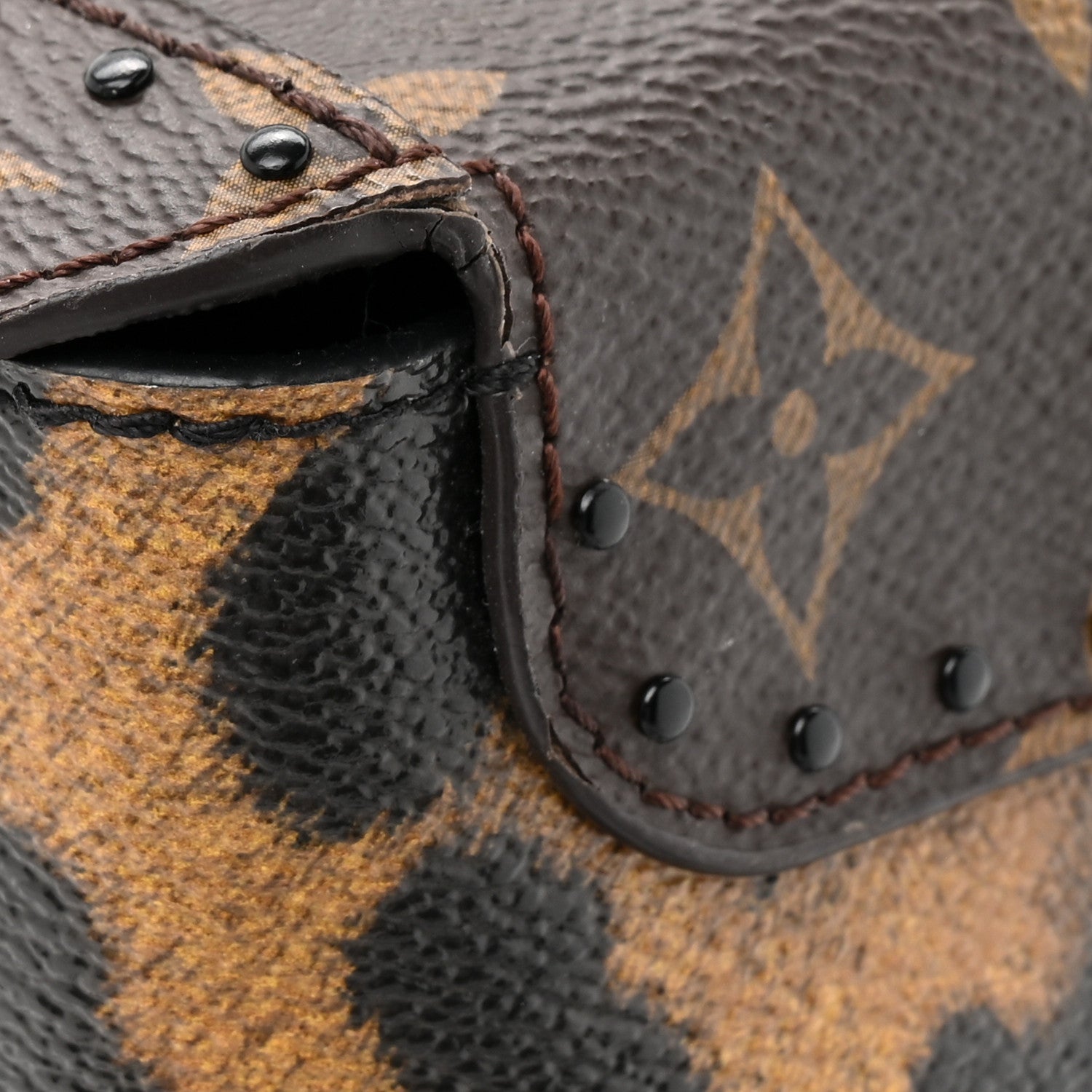 Monogram Leopard Camera Box