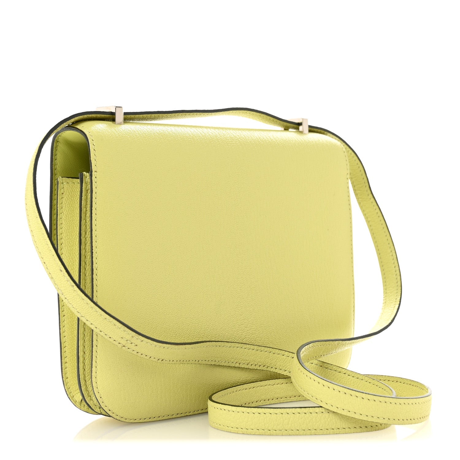 Chevre Mysore Constance 18 Jaune Bourgeon