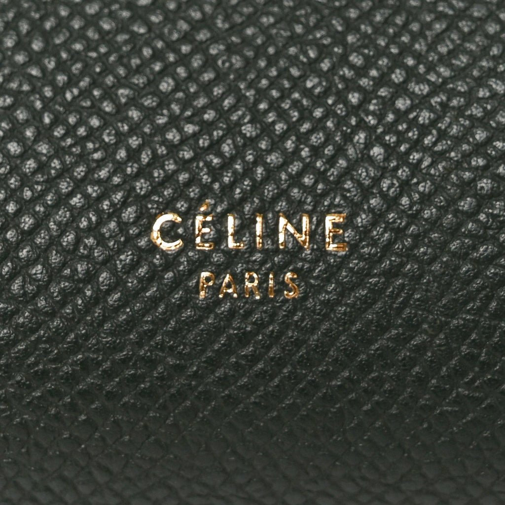 Grained Calfskin Mini Belt Bag Amazone