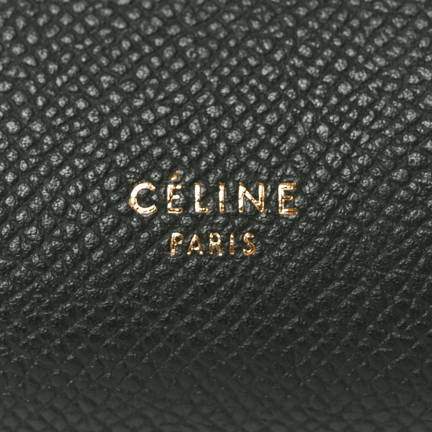 Grained Calfskin Mini Belt Bag Amazone