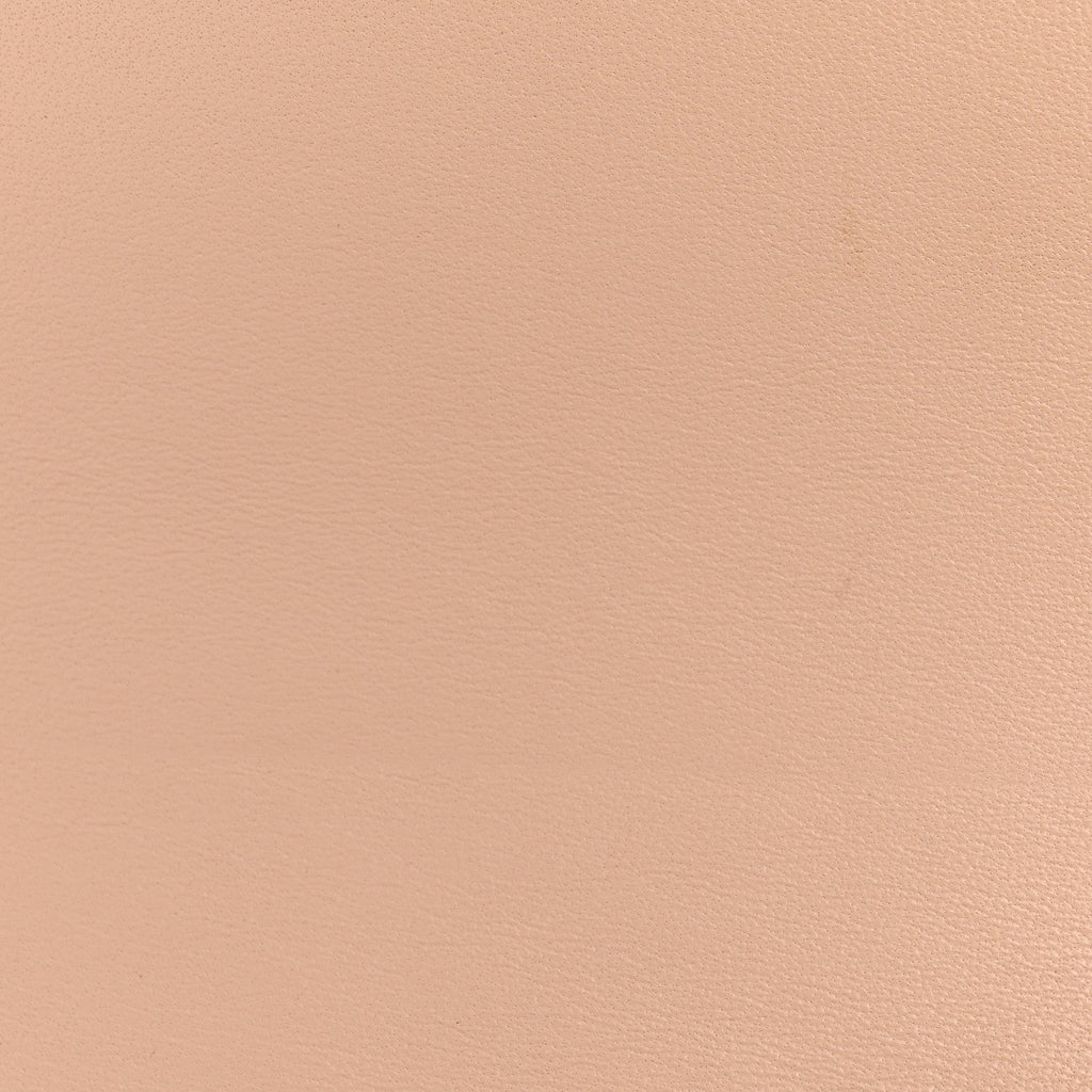 Grained Calfskin Medium Trotteur  Powder