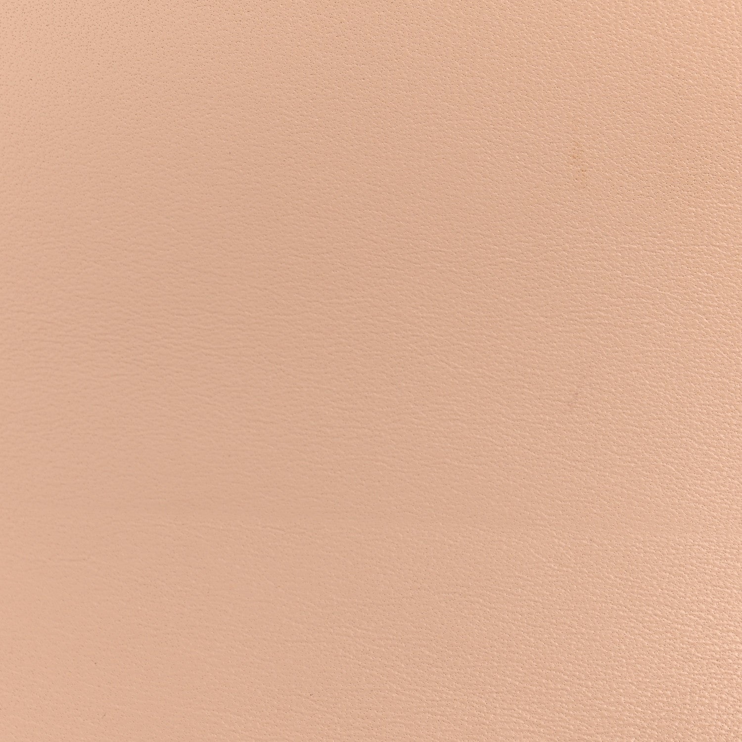 Grained Calfskin Medium Trotteur  Powder