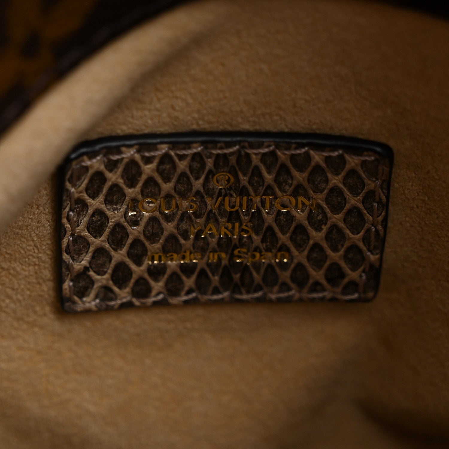 Snakeskin Monogram Artsy MM