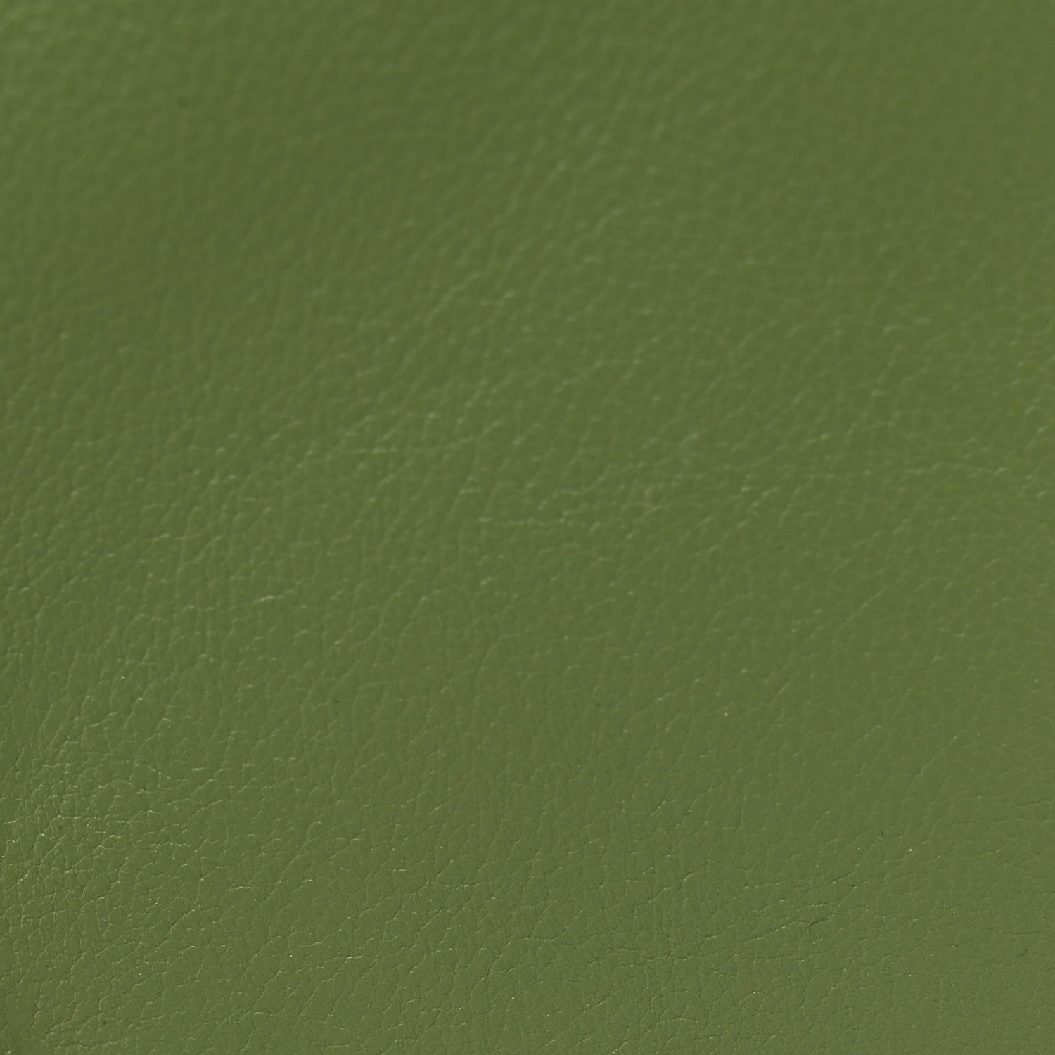 Roxy Calfskin Web Medium Blondie Top Handle Shoulder Flap Bag Salamander Green