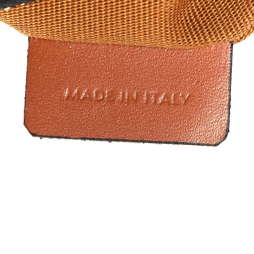 Triomphe Canvas Calfskin Medium Strap Ava Triomphe Shoulder Bag Tan