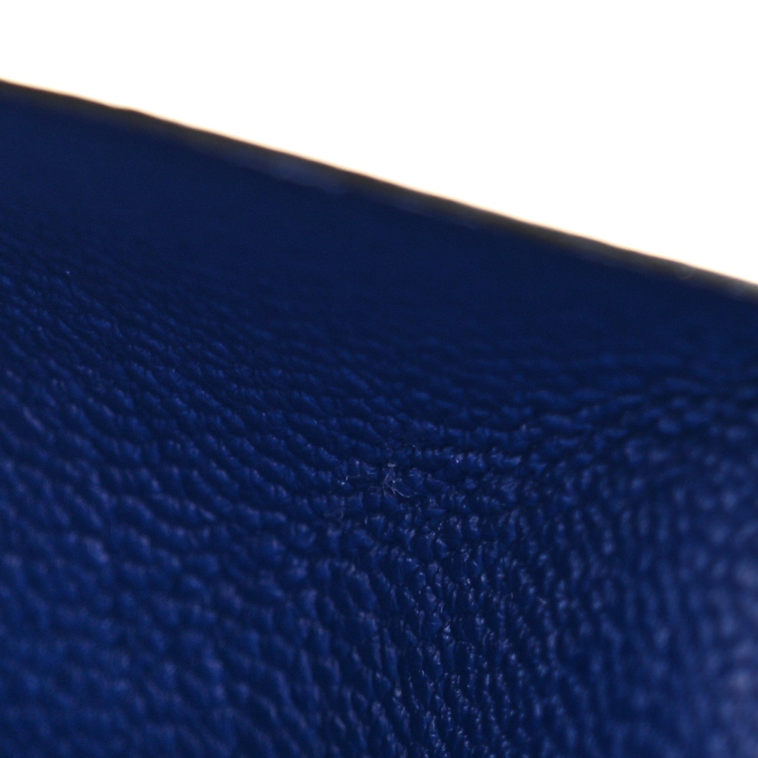 Chevre Chamkila Calvi  Case Bleu Electrique