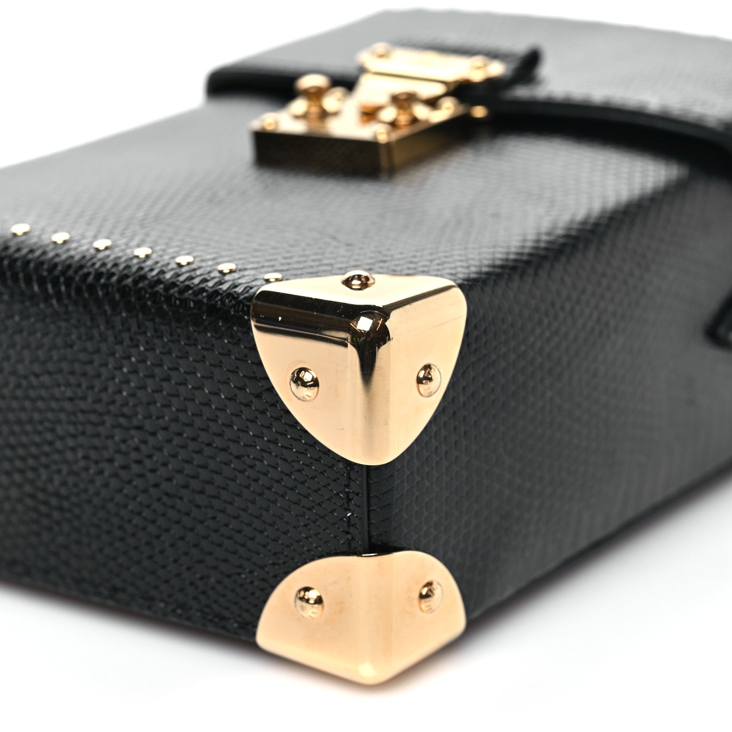 Lizard Camera Box Black