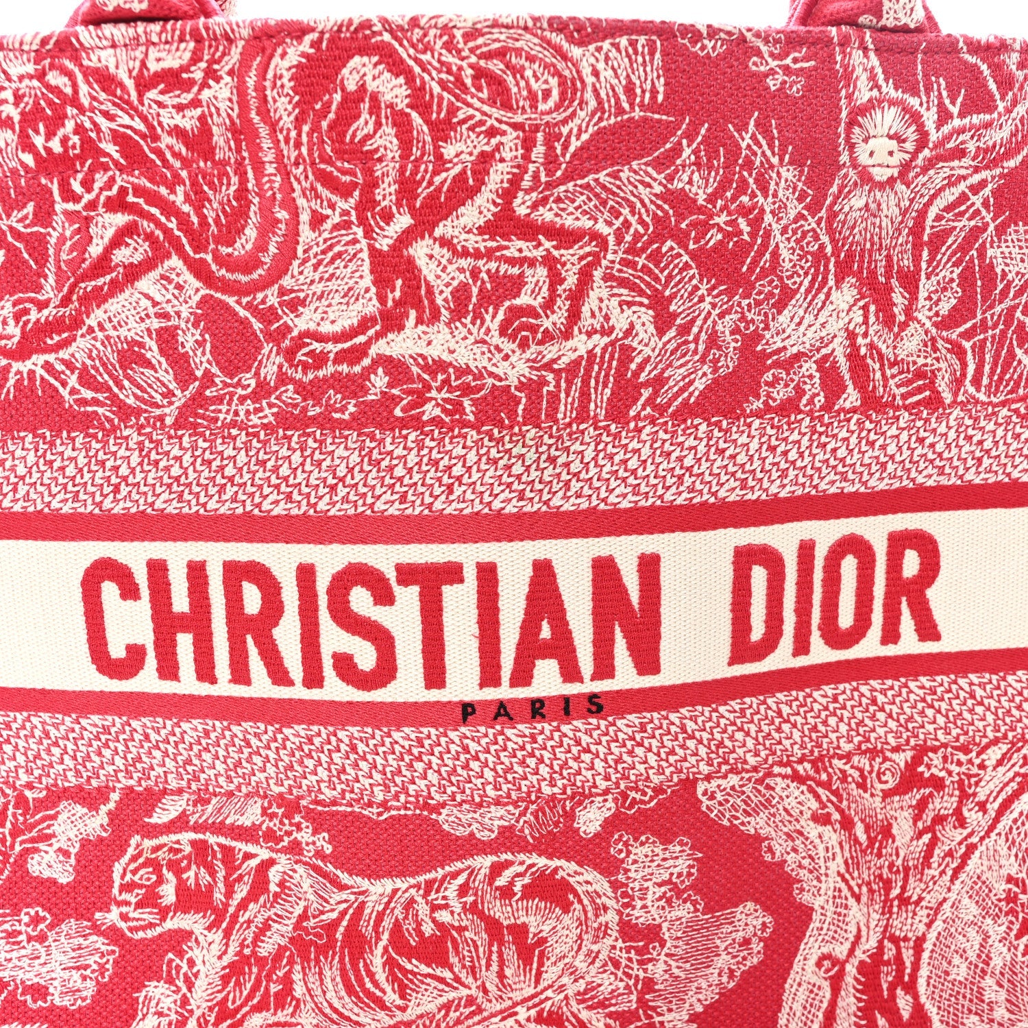 Canvas Embroidered Medium Dioriviera Toile De Jouy Book Tote Raspberry