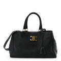 Supple Calfskin Medium Appoline Black