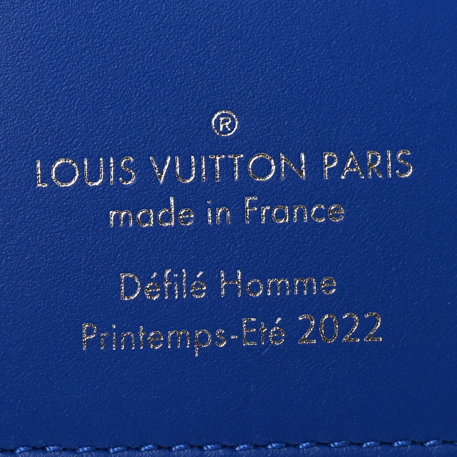 Taurillon Illusion Pocket Organizer Bleu Vert