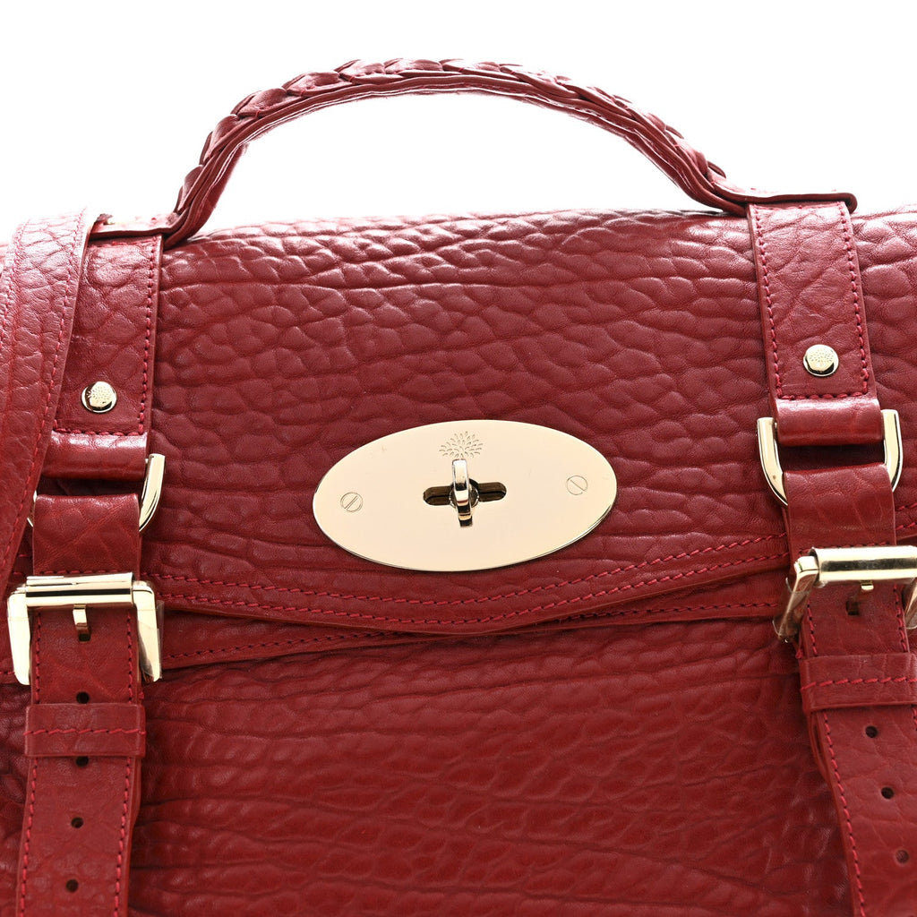 Shrunken Calfskin Medium Alexa Red