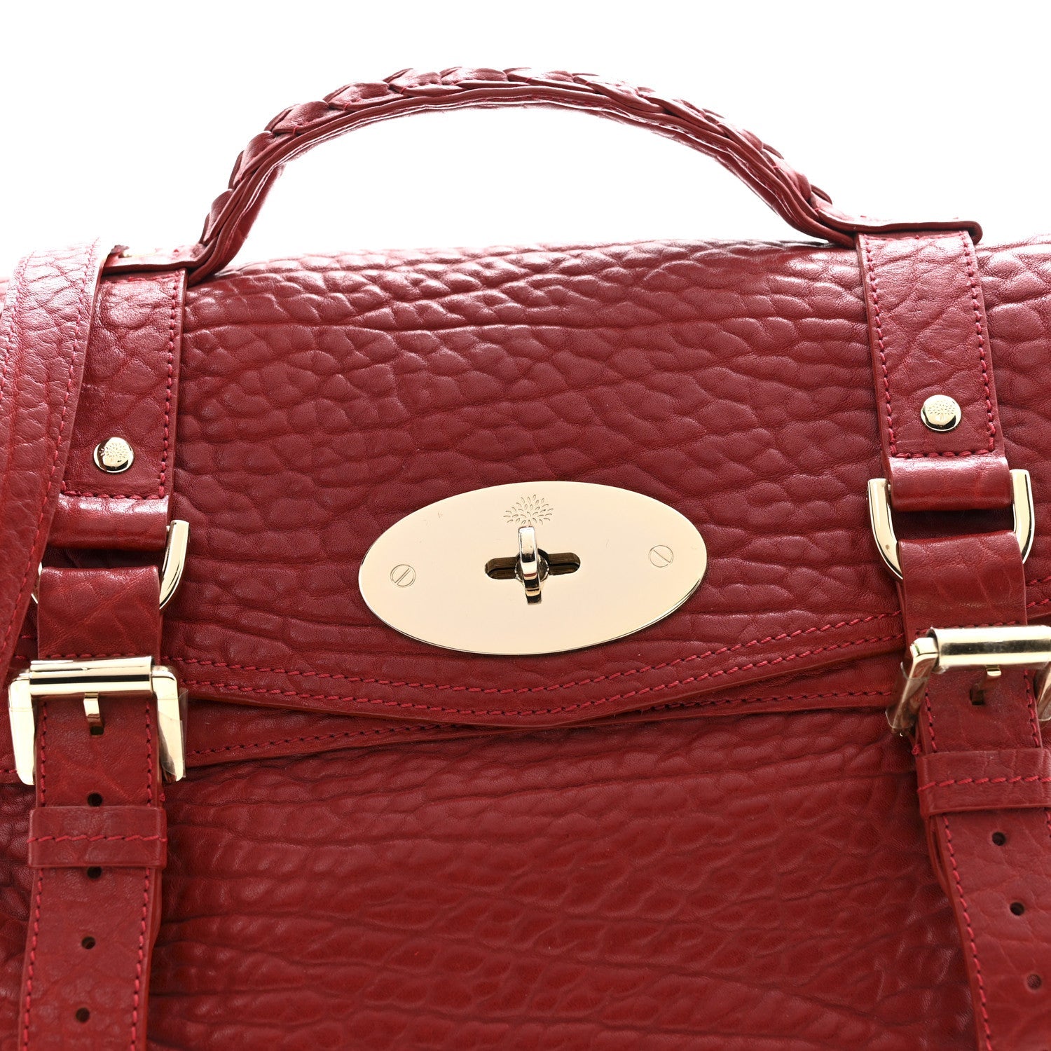 Shrunken Calfskin Medium Alexa Red
