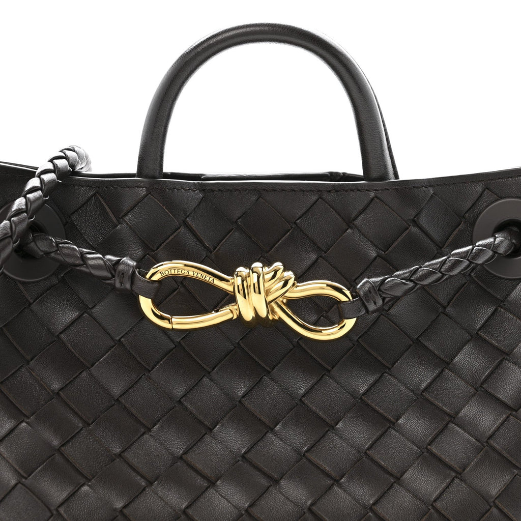 Nappa Intrecciato Small Andiamo Shoulder Bag Fondant