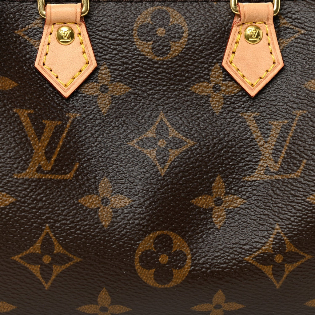 Monogram Nano Speedy