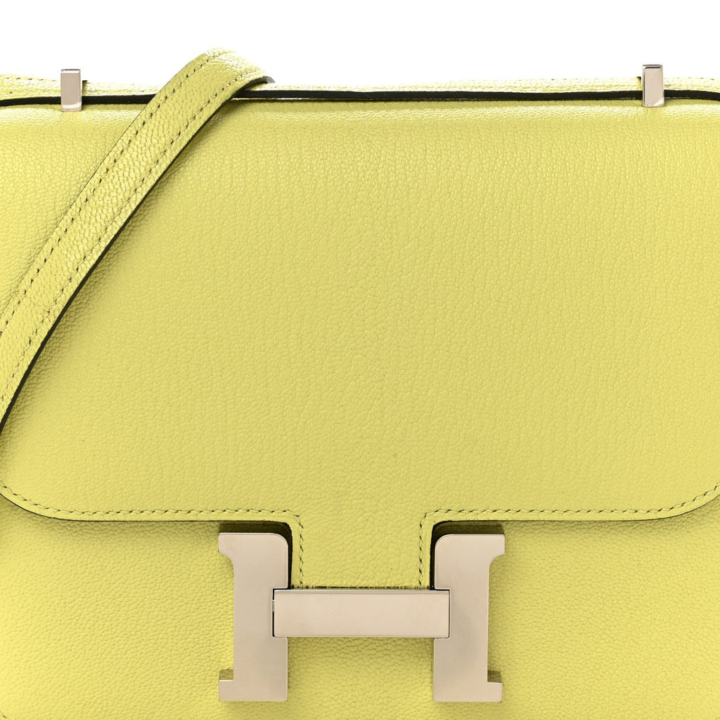 Chevre Mysore Constance 18 Jaune Bourgeon