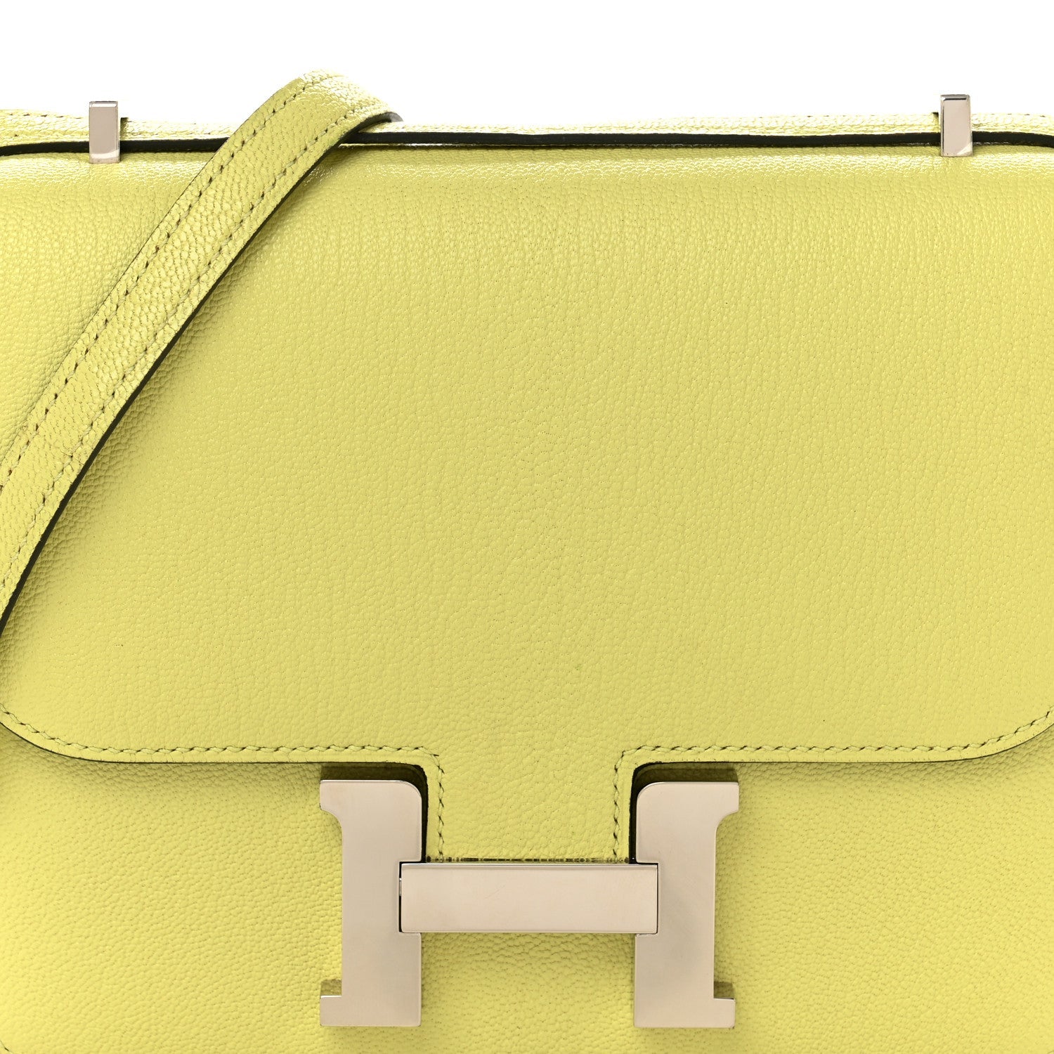 Chevre Mysore Constance 18 Jaune Bourgeon