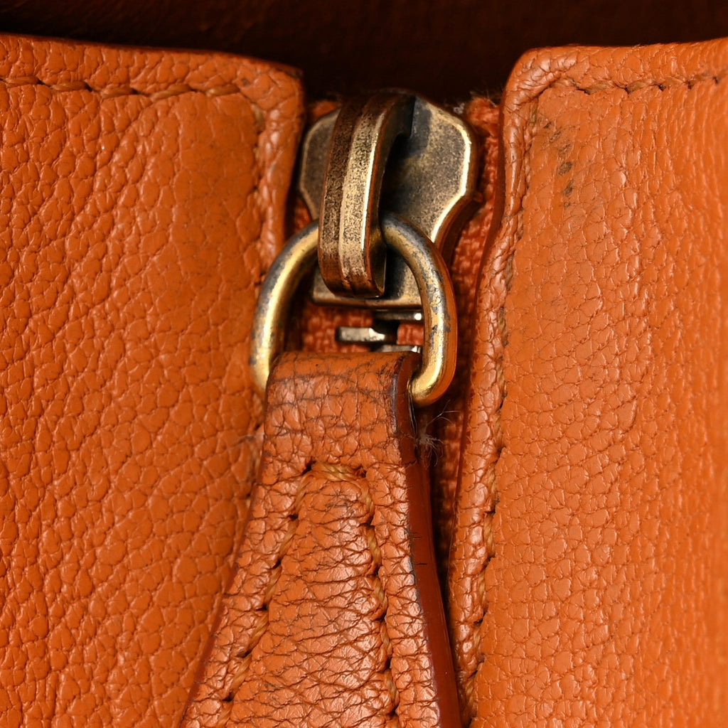 Goatskin Nano Luggage Orange