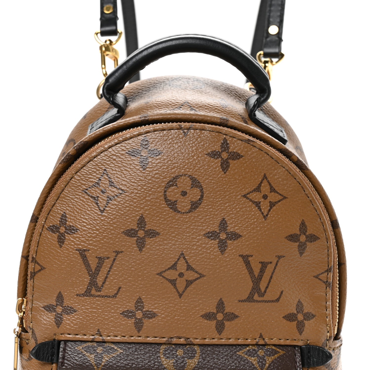 Reverse Monogram Palm Springs Backpack Mini