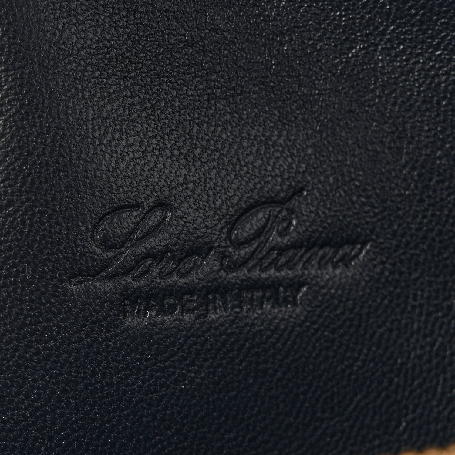 Grained Calfskin L19 Extra Pocket Pouch Navy Blue