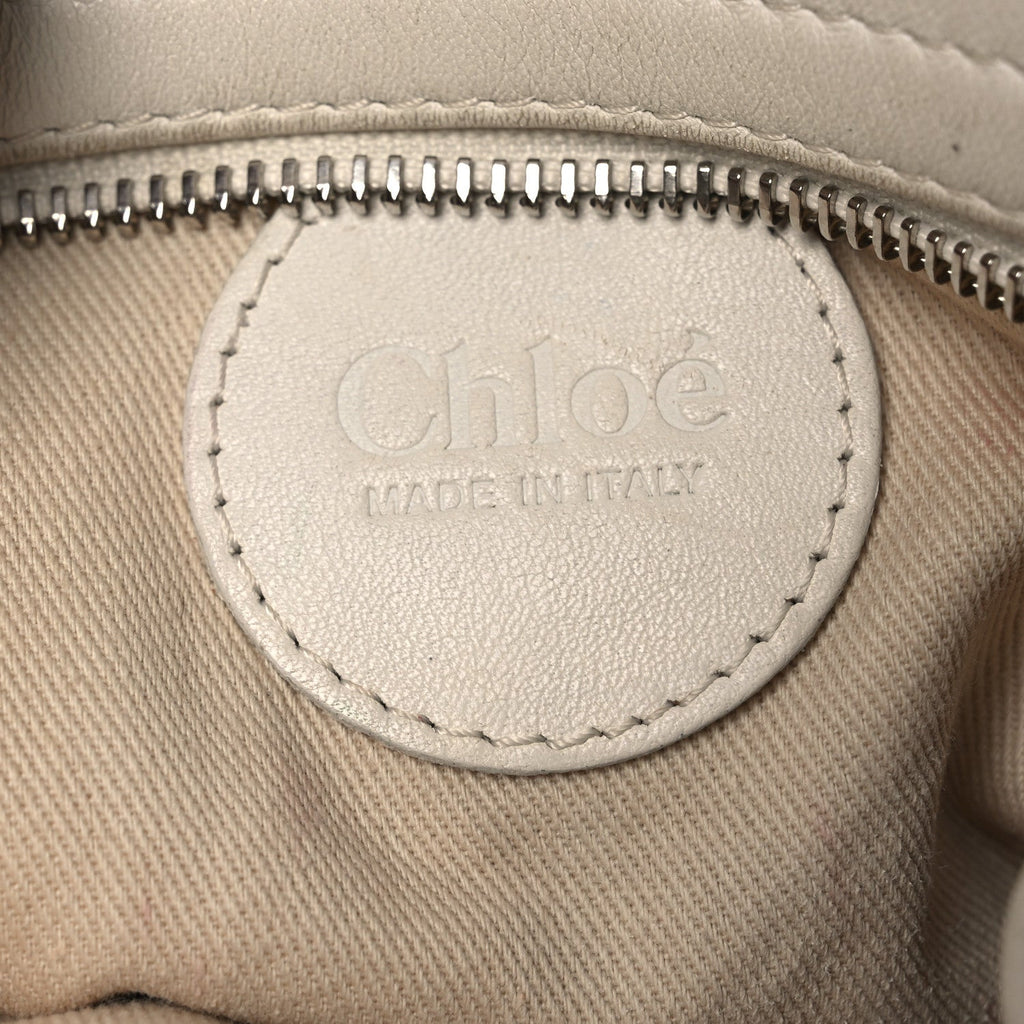 Snakeskin Silverado Mini Bag Ivory