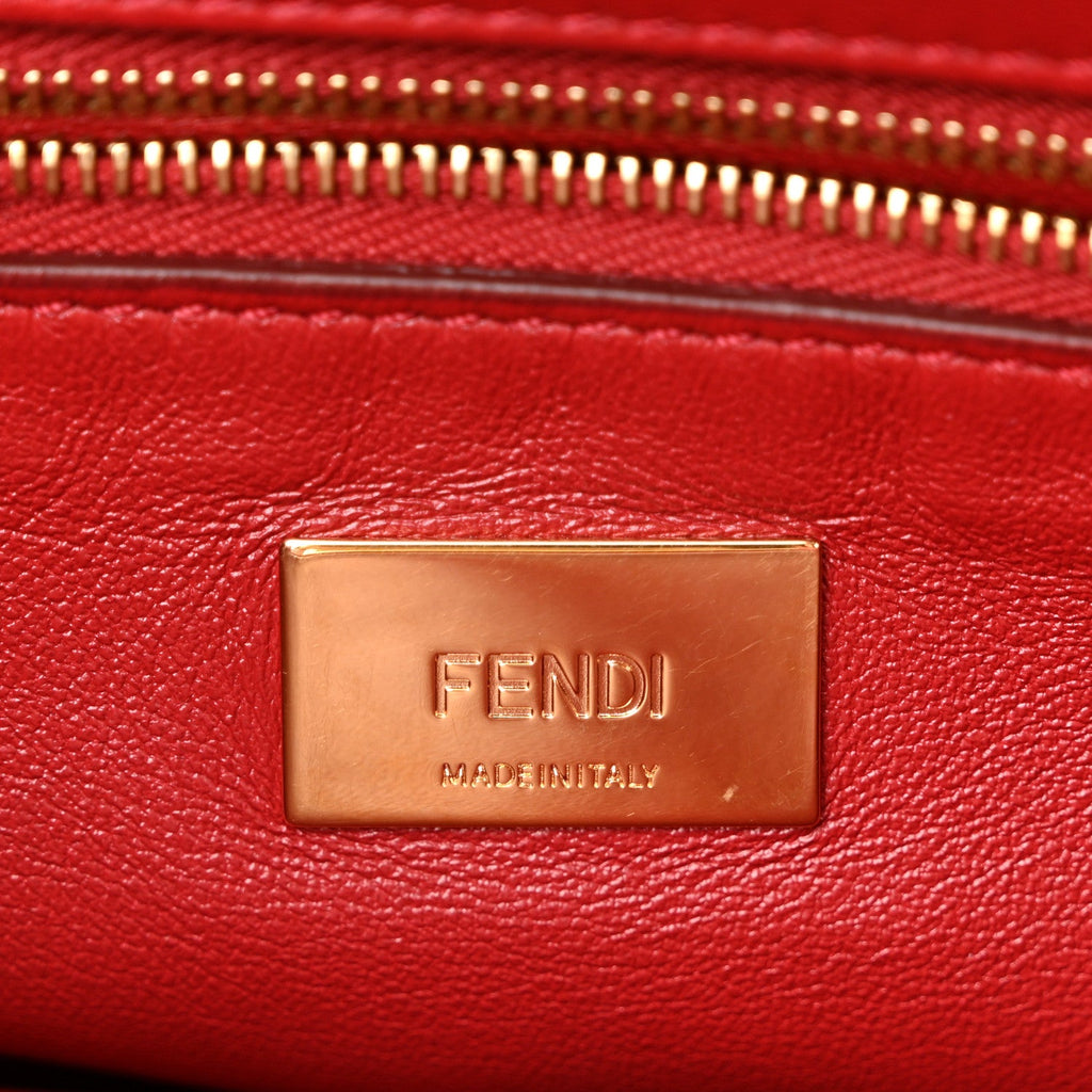 Ostrich Shiny Nappa Mini Peekaboo Iconic Satchel Fragola