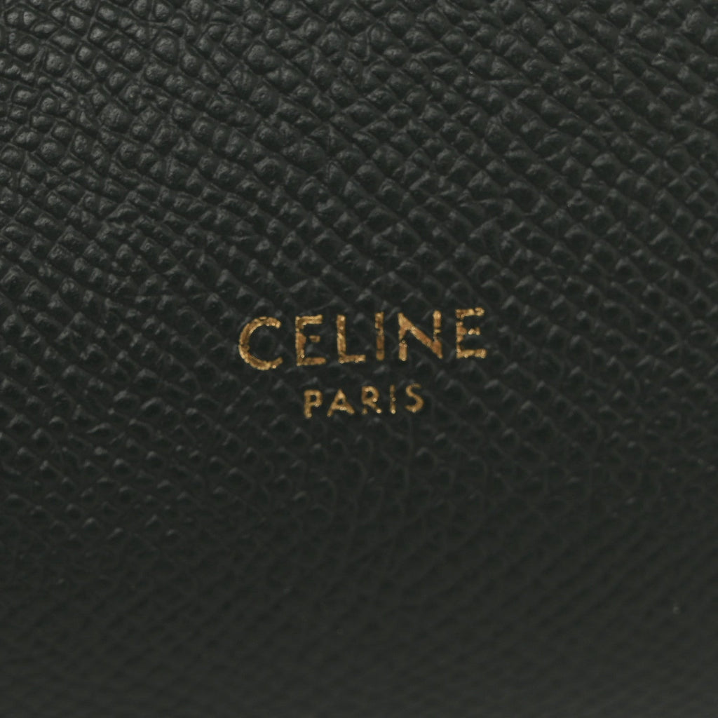 Grained Calfskin Nano Belt Bag Amazone