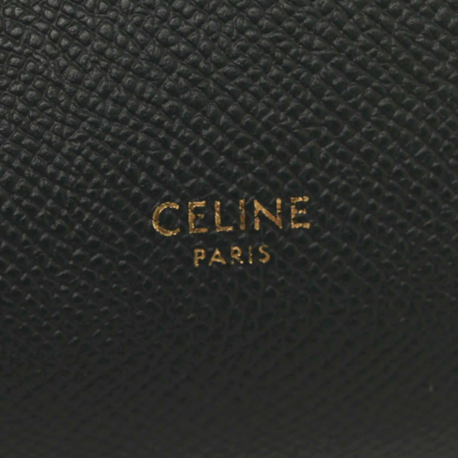 Grained Calfskin Nano Belt Bag Amazone