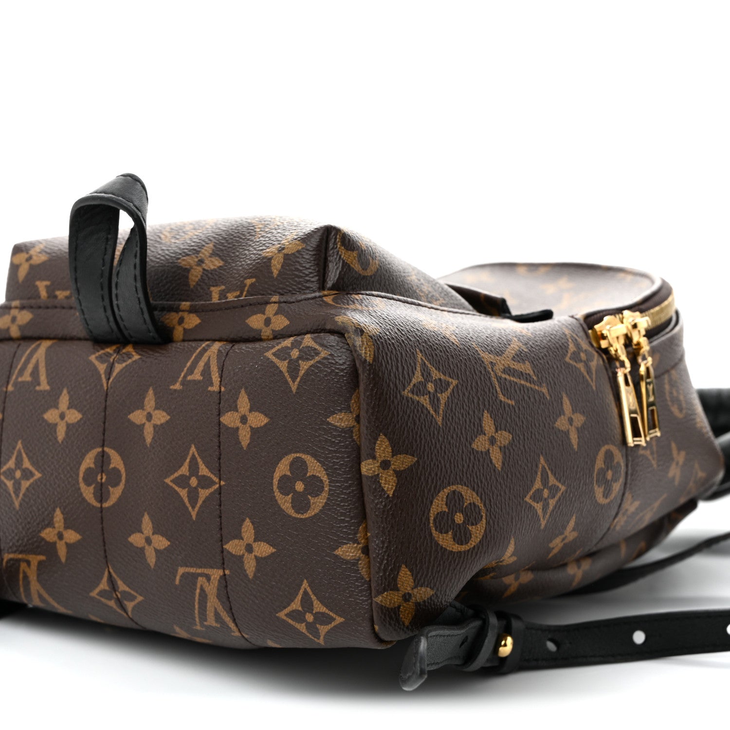 Monogram Palm Springs Backpack PM