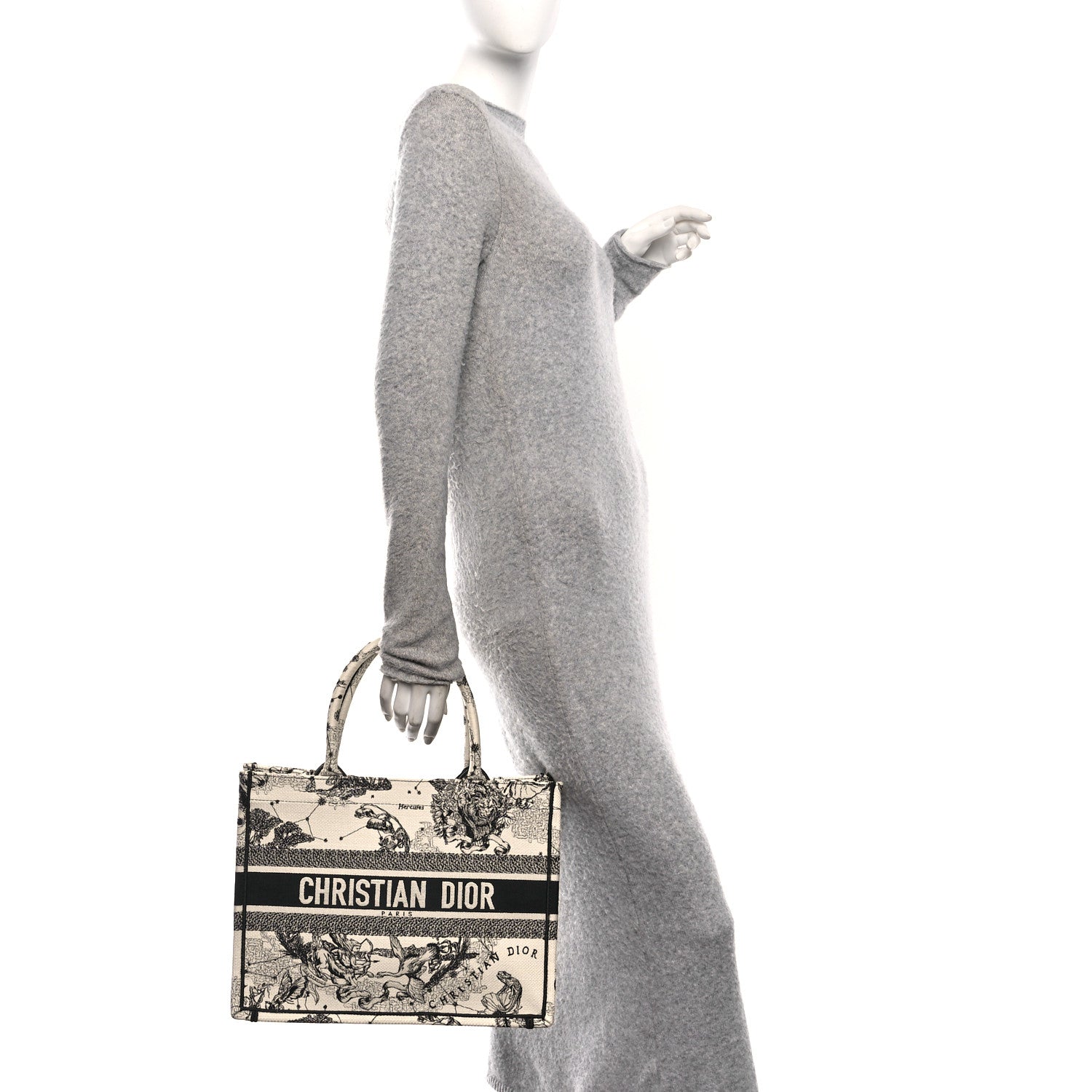 Canvas Zodiac Toile De Jouy Embroidered Medium Book Tote Latte