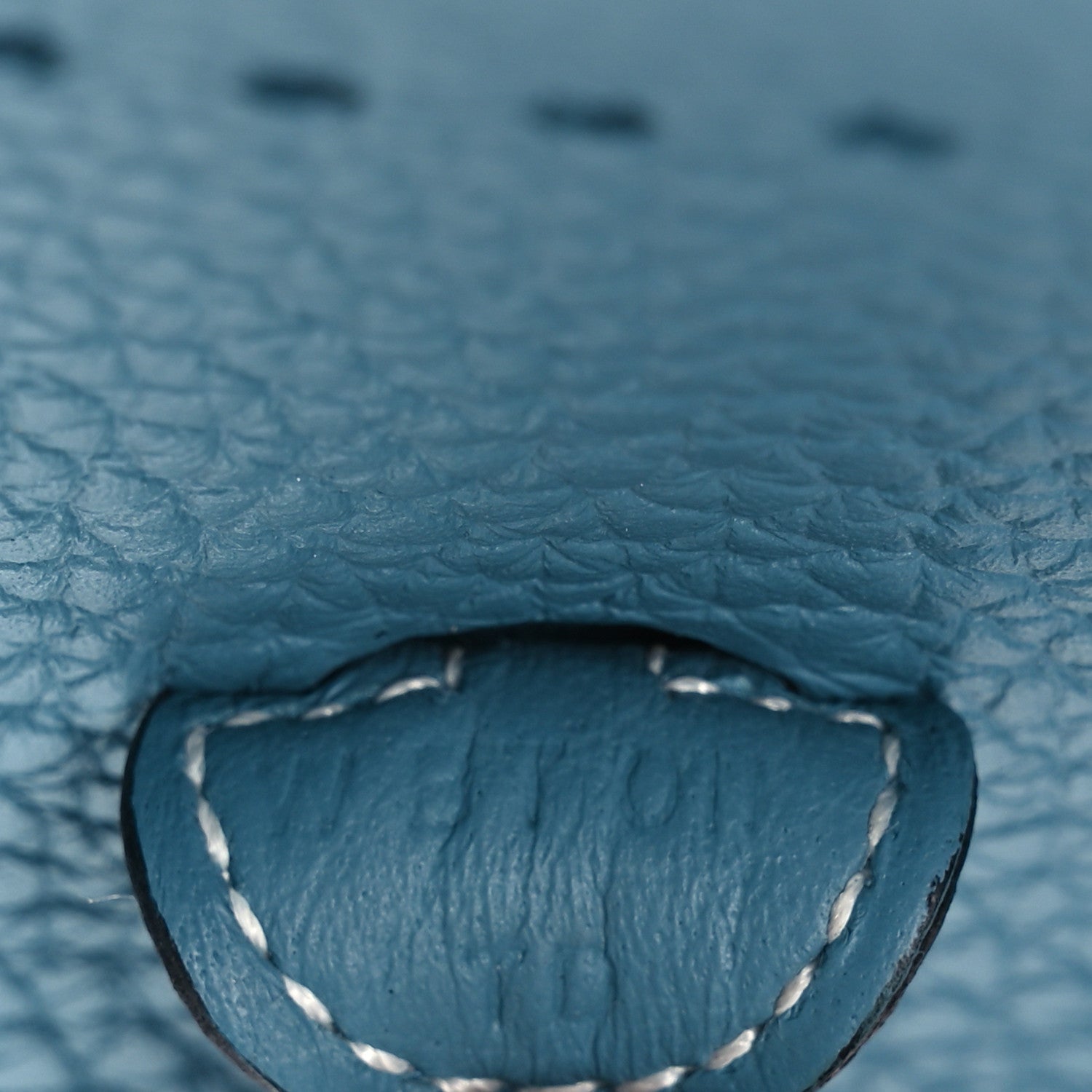 Taurillon Clemence Evelyne TPM New Blue Jean