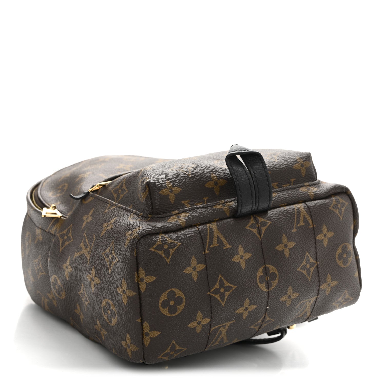 Monogram Palm Springs Backpack PM