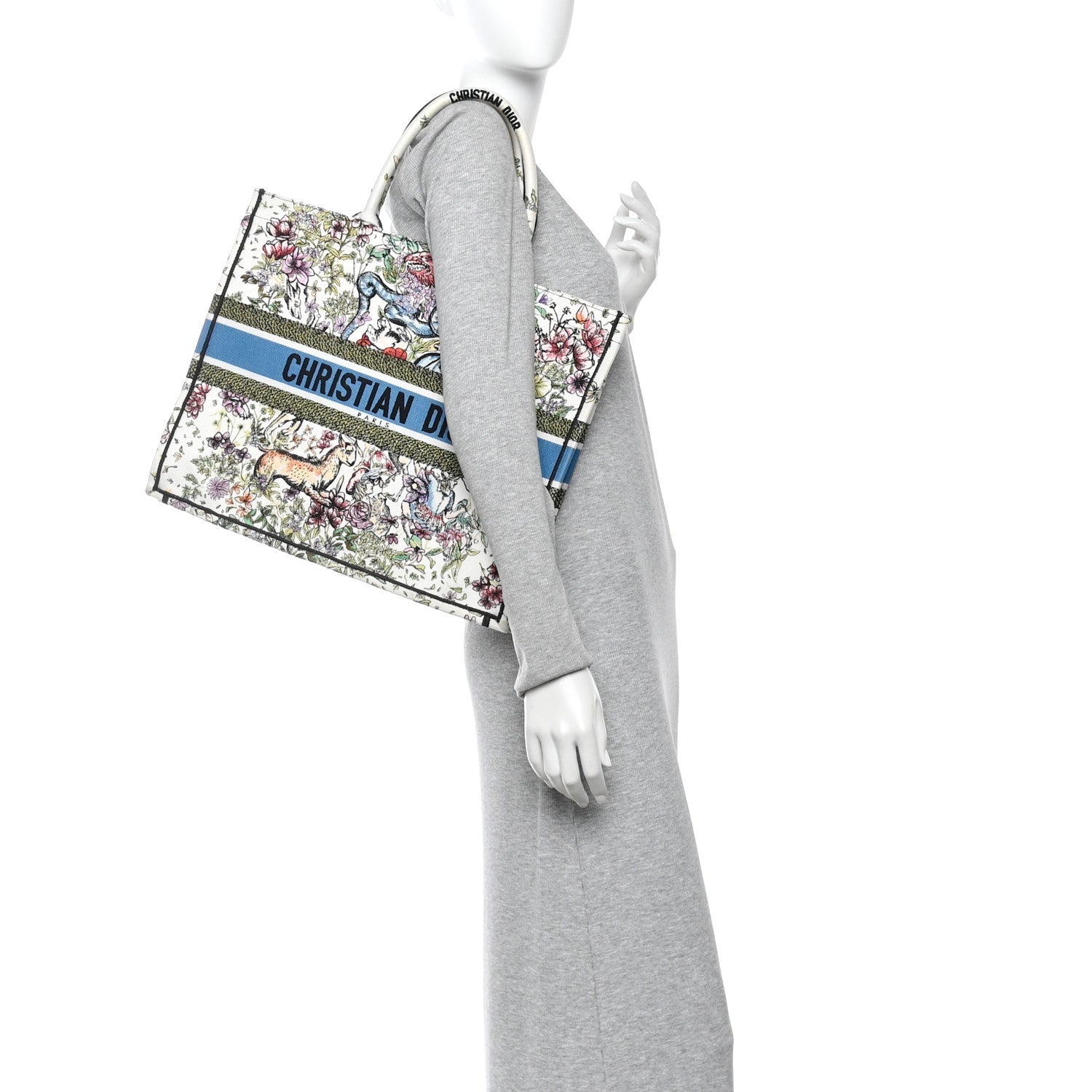 Canvas Embroidered Large D-Constellation Book Tote Latte Multicolor
