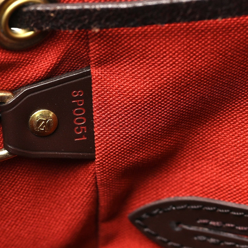 Damier Ebene Montsouris MM Backpack