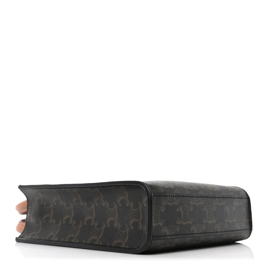 Triomphe Canvas Calfskin Mini Vertical Cabas Tan